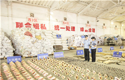 Zhanjiang Customs cracks down on smuggling