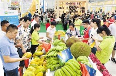 Deals reach 3.62b yuan at agricultural trade expo