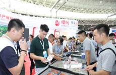 Zhanjiang aquaculture industry demonstrates strength, vitality at expo