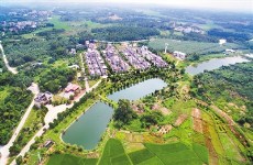 Zhanjiang promotes rural prosperity