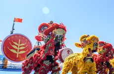 Zhanjiang celebrates 2019 Chinese Farmers' Harvest Festival