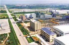 Zhanjiang cuts taxes to help enterprises upgrade