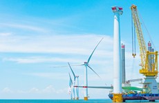 Offshore wind power project completes unit installation