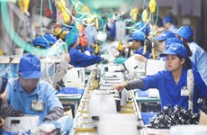 Private economy blooming in Zhanjiang