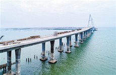 Tongming Sea Mega Bridge construction enters final phase