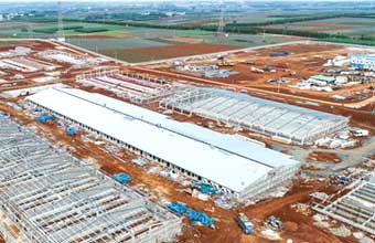 $422.25m live pig project put into operation in Xuwen