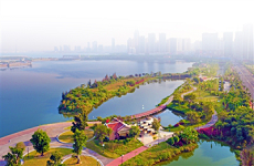 Eight parks open to public in urban Zhanjiang 