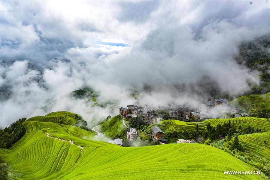 Photo taken on Sept 1, 2018 shows the scenery of terraced fields in Longsheng Ge autonomous county, South China's Guangxi Zhuang autonomous regio.jpeg