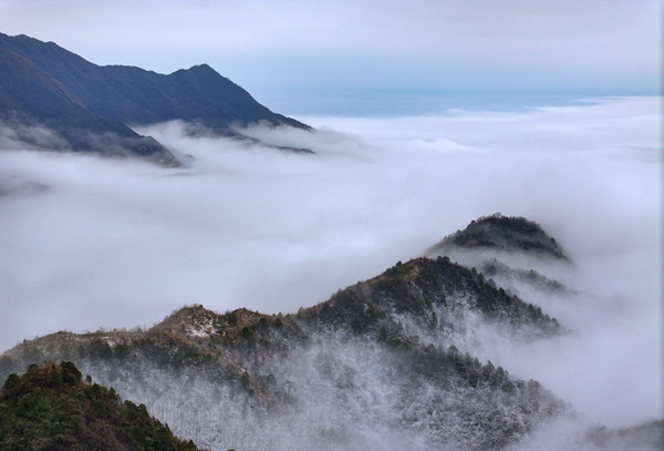 1769494130663098576.jpg 桂林1_副本.jpg