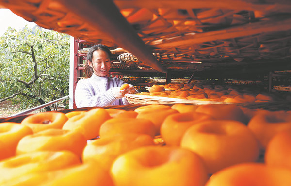  Century-old trees and tech build a prosperous industry