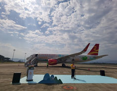 Guilin monk fruit-themed passenger jet debuts