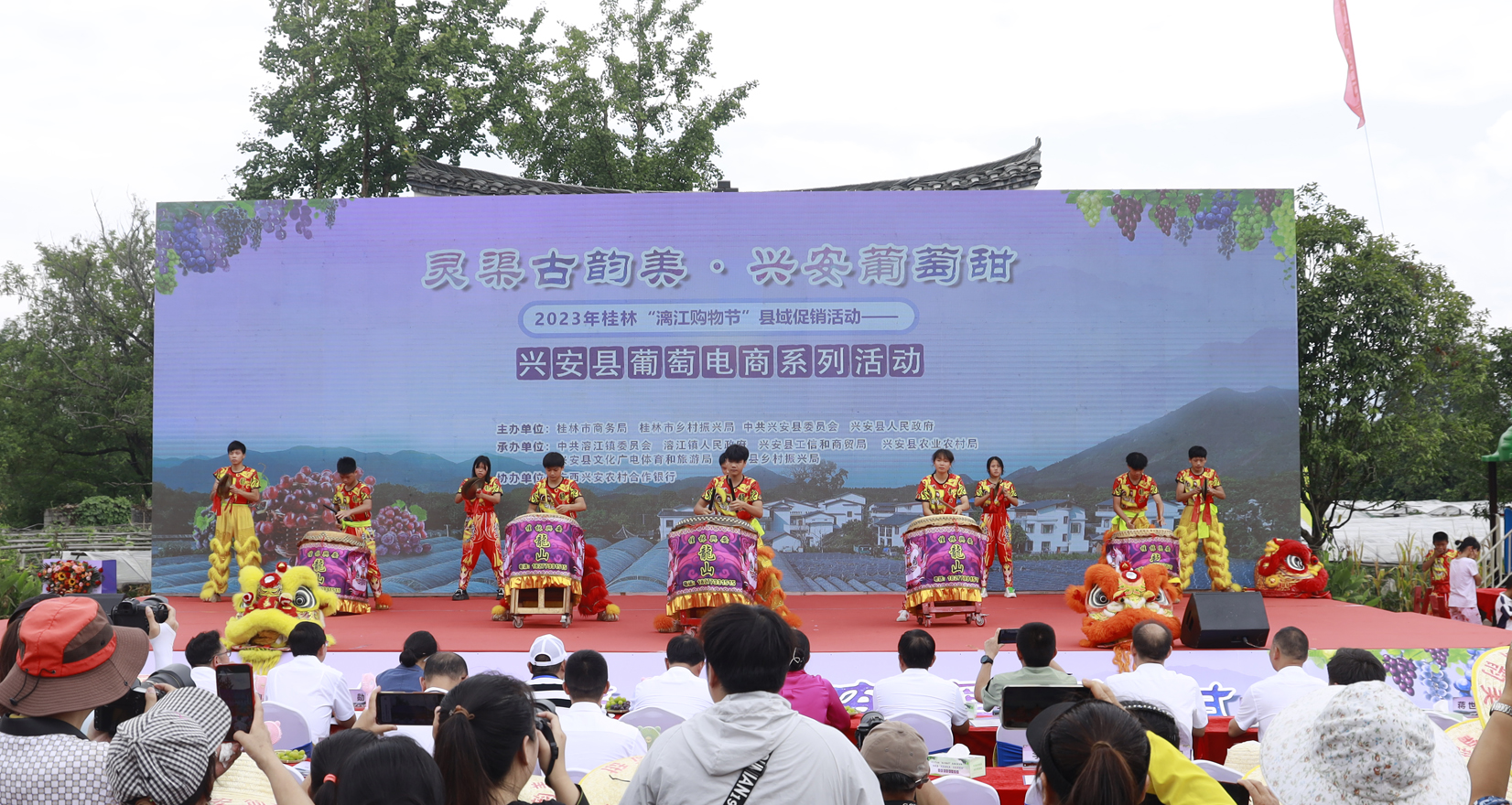 Guilin county promotes local grapes with e-commerce