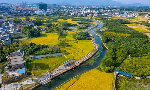 Historic Lingnan waterway receives national recognition