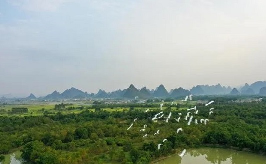 Guilin towns honored as signature tourist venues
