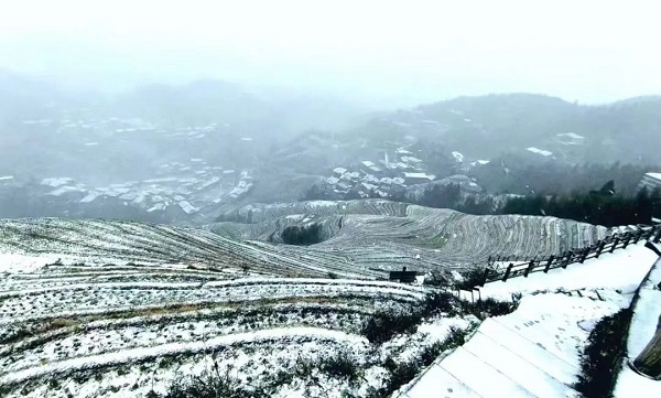 Guilin's 1st snowfall after 21 years creates winter wonderland