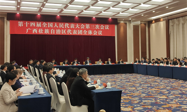 Guangxi strengthens ASEAN cooperation for common destiny