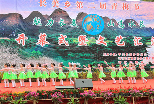 Changmei hosts green plum tourism festival