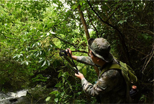 Rare fauna and flora spotted in Hechi