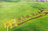Nandan county rice paddy art work popular with tourists