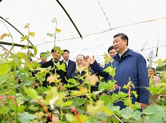 Xi inspects South China's Guangxi