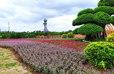 Flowers bloom in Hechi Garden Expo Park