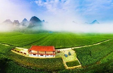 Yizhou develops characteristic industries to boost rural vitalization