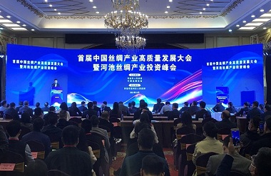 Guangxi helps Hechi become permanent venue of China silk forum