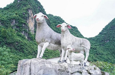 Aohan sheep industry helps Du'an rural vitalization