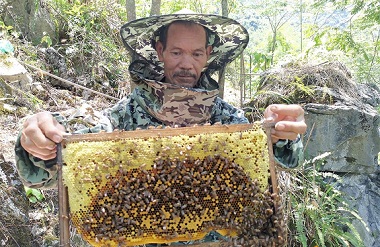 Du'an's Yongji village boosts rural vitalization through beekeeping