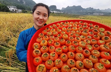 Nandan holds Chinese Farmers' Harvest Festival celebrations