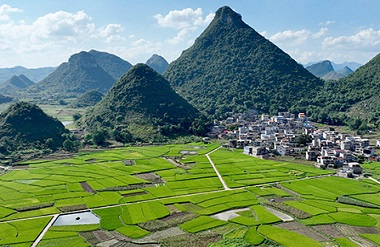 Luocheng's rural scenery comes alive in summer