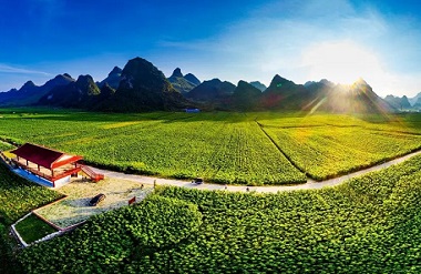 Yizhou Sanghai Siyuan Pastoral Complex perfects silk industry chain