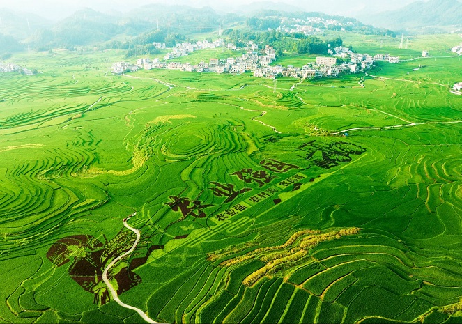 Baping Terraces offers tourists idyllic countryside experience