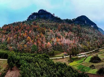 Niangniang Mountain in Hechi now at its most beautiful