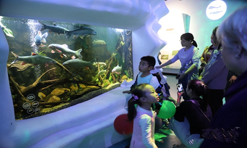 Aquarium makes debut in Dahua