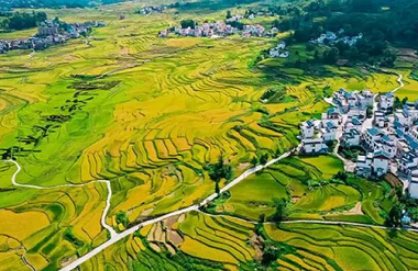 Nandan develops new agricultural formats 