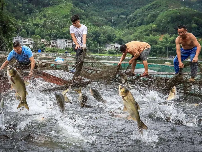 Beijing town fuses fishing experience with rural tourism