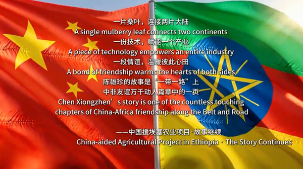 Hechi's sericulture expert weaves China-Africa bonds