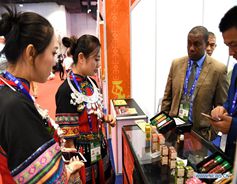 People visit Tanzania pavilion during 15th China-ASEAN Expo in Nanning