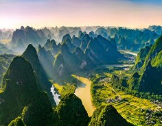 Guangxi makes great progress in forestry
