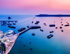 New trade corridor gives boost to coastal industries in Guangxi