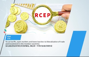 Video: Get to know RCEP