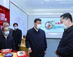 Xi encourages private enterprises to develop boldly