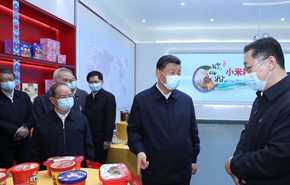 Xi Focus: Specialty industries boost rural vitalization in Guangxi