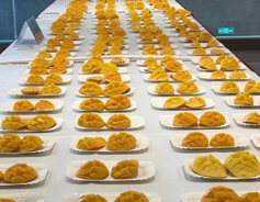 China's largest mango production base welcomes harvest