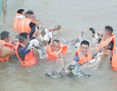 Guangxi farmers celebrate harvest festival in Baise