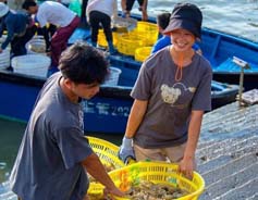 Beihai fishermen reap harvest after catching moratorium ends