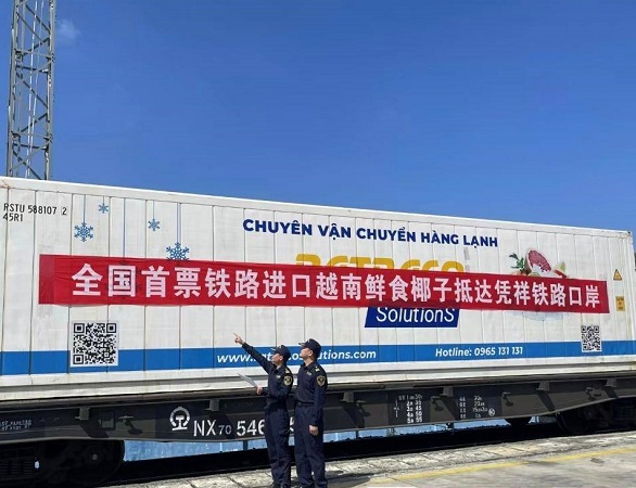 China's 1st batch of railway-imported Vietnamese coconuts clear customs in Guangxi