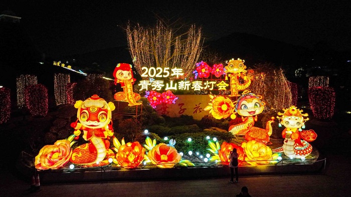 Lantern fair opens in Nanning to celebrate Spring Festival