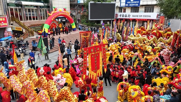 Guangxi lion dance showcases charm during Spring Festival holiday